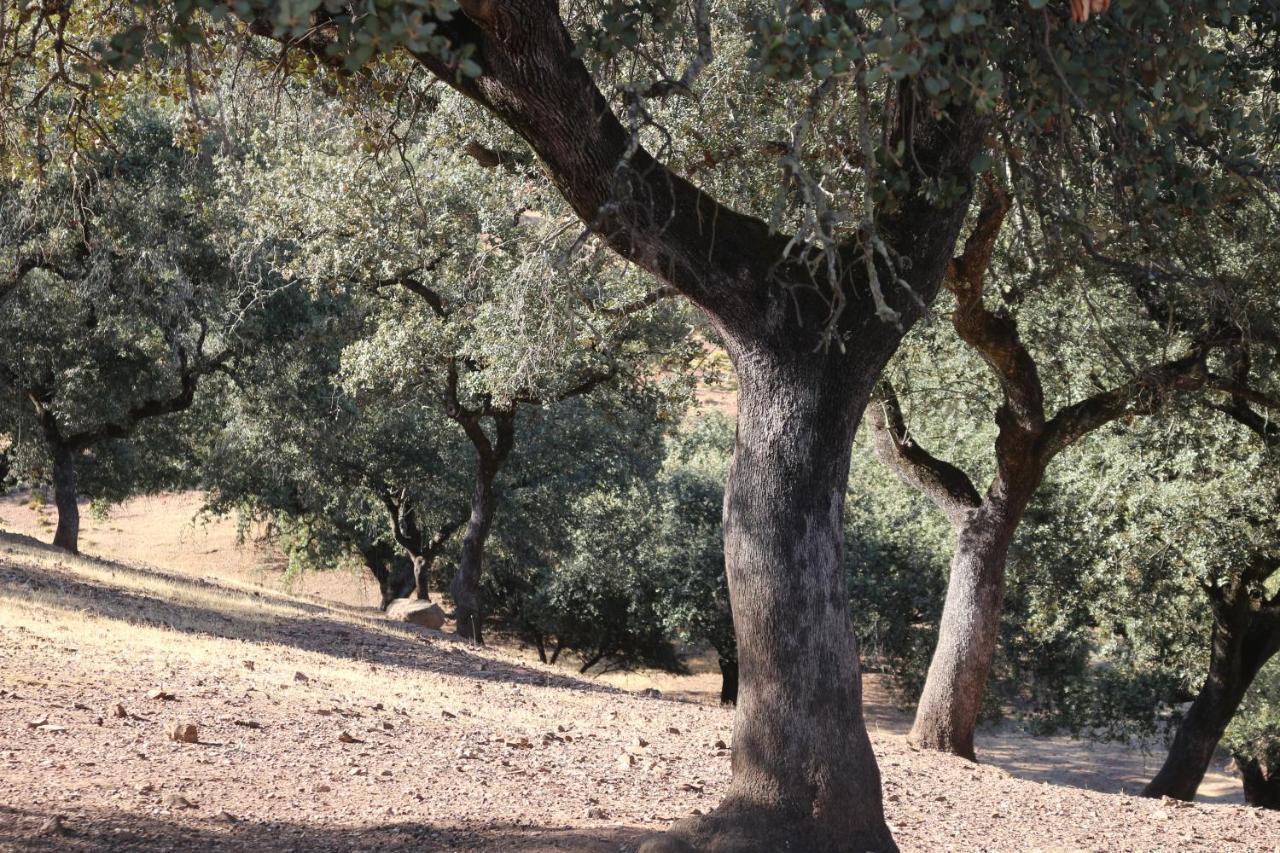 Casa Rural Quejigo Con Piscina Santa Olalla del Cala Εξωτερικό φωτογραφία