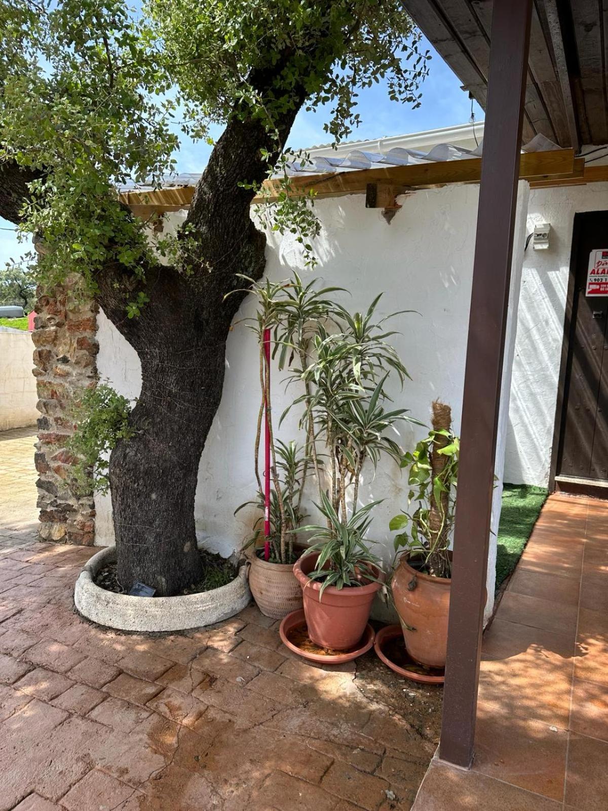 Casa Rural Quejigo Con Piscina Santa Olalla del Cala Εξωτερικό φωτογραφία